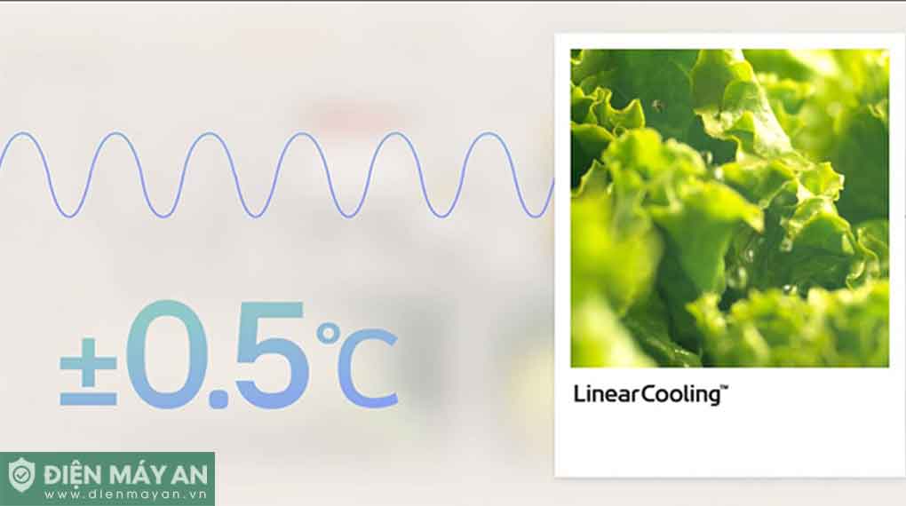 Tủ Lạnh LG Inverter 607 Lít Multi Door F61BMD